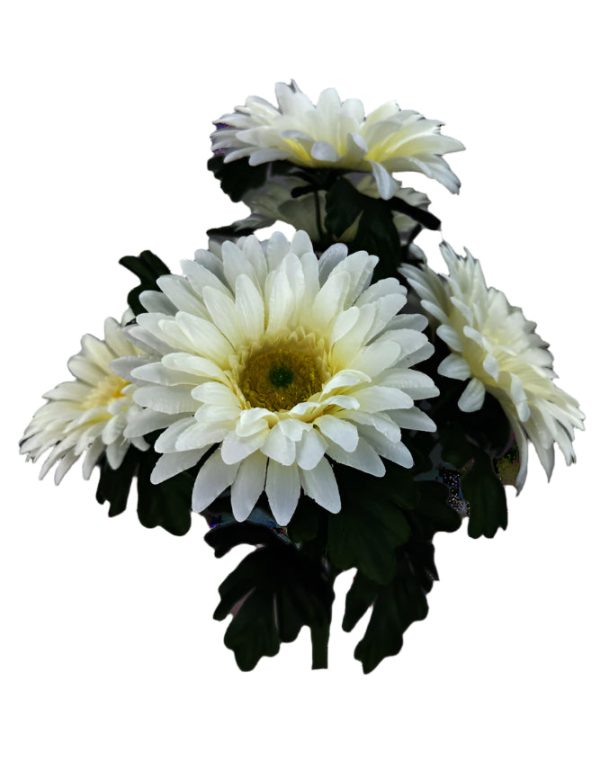 20 Inch Satin Gerber Daisy Bush x 7 - Cream Discount